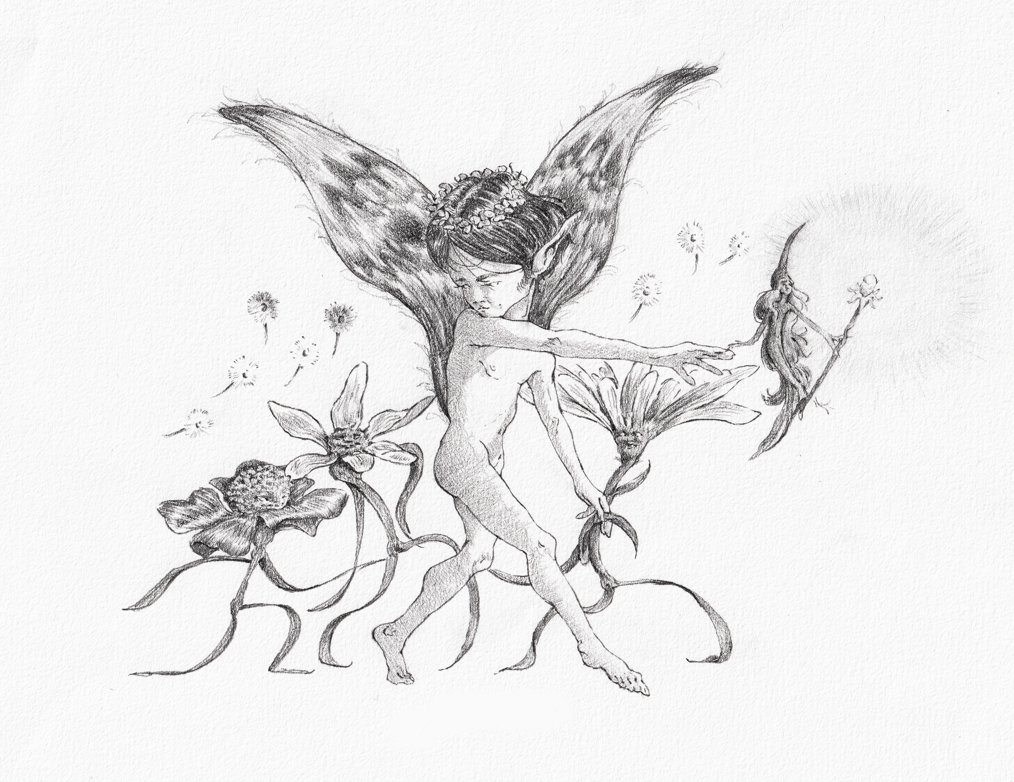 Garden Prince (2024), graphite on paper, 14 x 21 cm